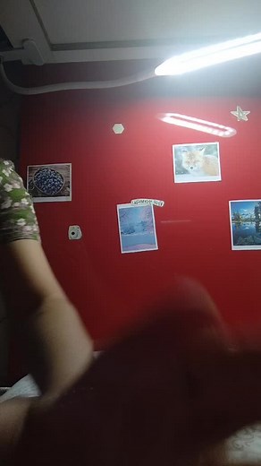 hello teddys🧸 (@userlittleteddy)’s videos with snap - rick