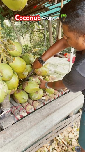 Coconut milk cutting 🌴🥥 #coconutwater #coconut #coconutcutting