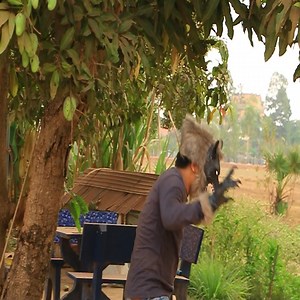 273K views · 6.1K reactions | Fake Wolf Man P.rank Sleeping Dog - Funny Dog Video | Adalyn Pro | Facebook