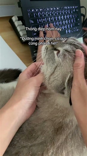 Con đường này mình chọn mà