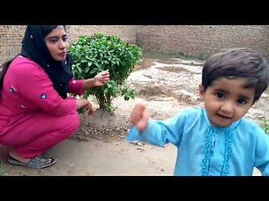 Ye meny kiya pi lia||Amna village vlogs