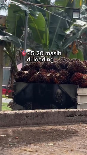 BINTRIANA❤️ on Instagram