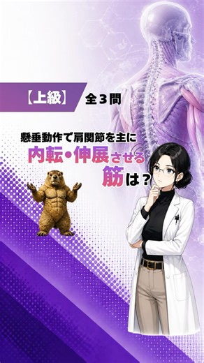 【上級解剖学】全３問