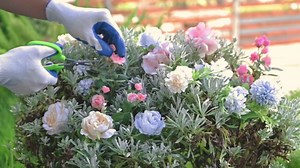 Garden Scissors, 6in Pruning Shears Snips Non-stick Coated Sharp Steel Blades - Gardening Tools Garden Shears for Plants Herb Flowers in Grow Tent and Hydroponics