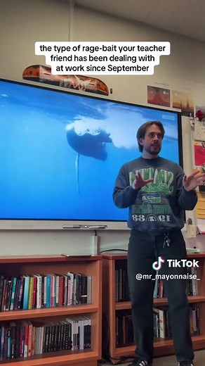 Understanding the Challenges Faced by Teachers