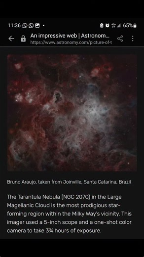 Bruno Araujo on Instagram: "NGC 2070 ( Tarantula Nebula ) Hoje tive a grata oportunidade de ter minha segunda imagem publicada na revista Astronomy Magazine. Today I had the pleasure of having my second image published in Astronomy Magazine. I’m deeply grateful to Astronomy Magazine for allowing us to be part of its history. Setup: Scope: SVBony SV550 122MM Triplet APO Camera: PlayerOne Artemis C Pro Mount: Ioptron CEM60 Filter: Optolong L-Ultimate Integration time: 3,75 hours #astrophotography