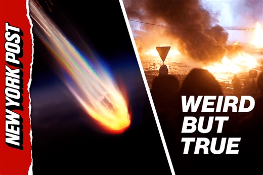 End-of-the-world predictions? You can bet on it | Weird But True