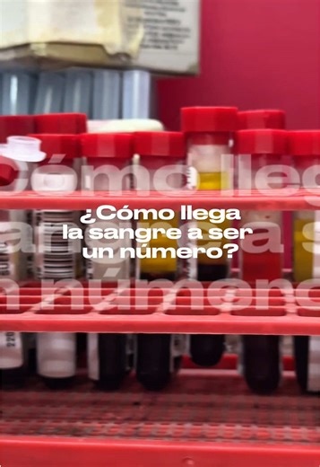 ¿Cómo llega una muestra de sangre a ser un número en un informe de laboratorio? #lab #medicine #chemistry #salud #laboratorio