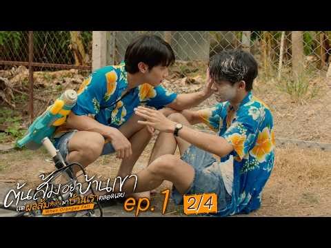 [Eng Sub] ต้นส้มอยู่บ้านเขา แต่ผลส้มหล่นมาบ้านเราตลอดเลย When Oranges Fall | EP.1 [2/4]