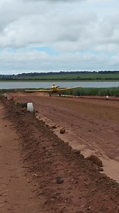 Yellow Cessna 188 #cessna #agtech #aviation #aircraft | AvionesAv