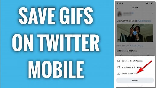 How to Download GIFs From Twitter