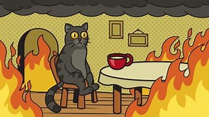 Cat Fire Meme This Fine Video Stock Footage Video (100% Royalty-free) 3422544309 | Shutterstock