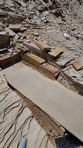 835K views · 1.1K reactions | Not often do I get the opportunity to...