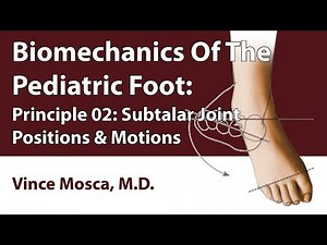 Biomechanics Of The Pediatric Foot: Principle 02 [Subtalar Joint Positions & Motions]