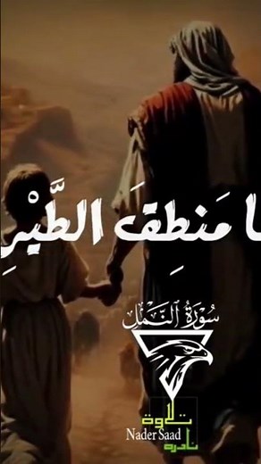 الشيخ محمد أيوب عاصف سوره النمل