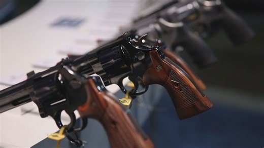 Tennessee lawmakers debate on sweeping gun reforms amid 114th General Assembly