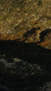 Ranging from flexible to rugged, our new pants collection is built for comfort, longevity, and reliable outdoor performance. | Haglöfs