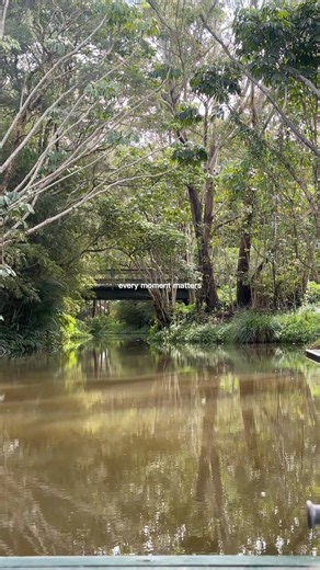 A Hidden Side of the Gold Coast 🇦🇺🌿 #goldcoast #australia