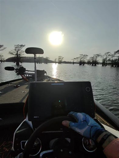 Love my Caddo | caddo lake