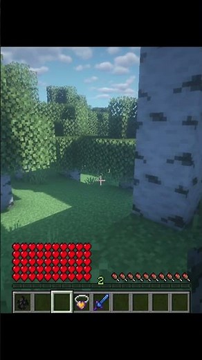 Baubley Heart Canisters in Minecraft