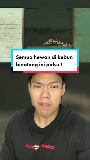 Kebun Binatang Palsu di Korea: Kisah Beruang Kutub dan Coca Cola