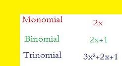 Multiplying And Dividing Polynomials