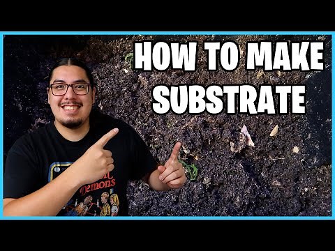 How to make Substrate!