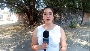 Capturan a un hombre en Kingsport, Tennessee por disparar arma de fuego al interior de una vivienda. | Nashville Noticias