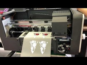 A3 DTF printer, with two XP600