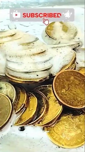 We Found Hidden Treasure in the Dirt