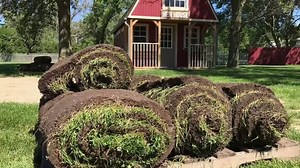 9.9K views · 181 reactions | We're taking advantage of the cooler day out here and rearranging some grass! It's like redecorating....but different.... 藍 Who's excited about a new boardwalk to stroll this Fall?!  | Barn Festival | Facebook