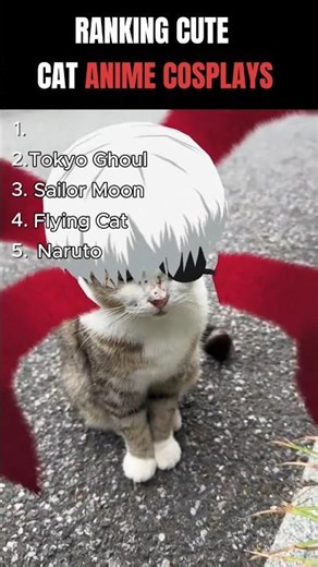 Ranking Cutest Cat Anime Cosplays