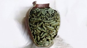 207K views · 2K reactions | 12 Most Incredible Treasures Found Recently | T1 Mysterious & Discovery | Facebook