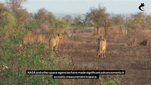 Would Lions Roar Louder on Another Planet?