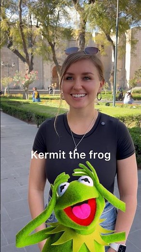Kermit the frog - la rana René