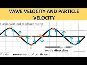 Waves: Wave velocity and particle velocity