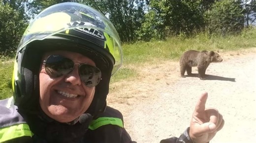 'He Got Off the Motorcycle and Offered the Bear Food': Then the Bear Killed Him