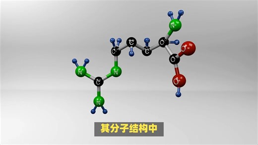 冰合试剂科普：PGA-PEOz、聚谷氨酸-聚(2-乙基-2-噁唑啉)、PEOz-PGA、聚谷氨酸