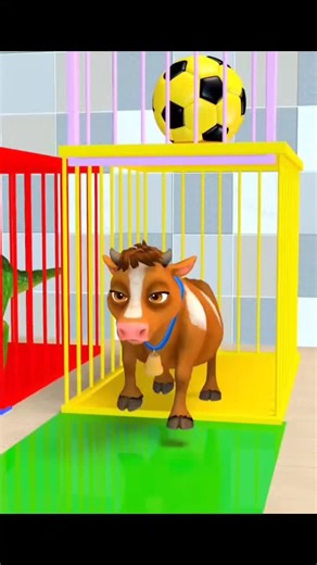 Explore the Long Slide Adventure in 3D Animation