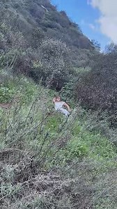 Damsel in Distress Method | Cer Spence