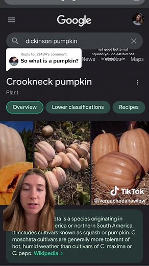 Australian Butternut Squash vs Pumpkin: What's the Difference?