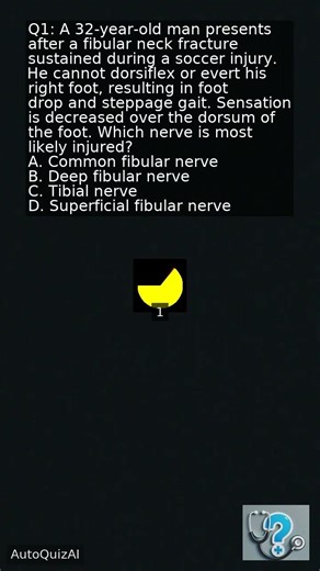 Common Fibular Nerve Injury You Must Know ⚡
