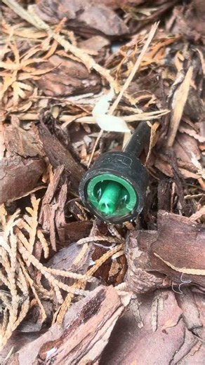 The drip Irrigation you need for your tropical landscape