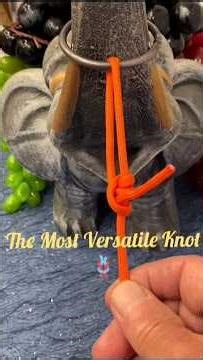 Basic Knot tutorials life hacks. #diy #shorts