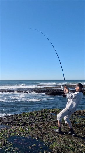 My Biggest Sheephead - Pez Vieja l Baja California Surf Fishing