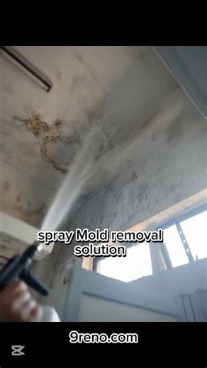 Problem of ceiling leak stain and moldy issue repair fixing service Singapore. #ceilingrepair