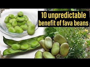 10 Amazing Health Benefits of Fava Beans 🫘✨🥩🍏🍏#FavaBeans #Superfood #HealthyEating
