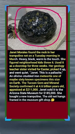 😱♥️BACKYARD TRAMPOLINE SPRING LAUNCHES METEORITE INTO MUSEUM 🎨#shorts