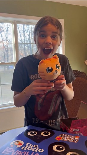 151K views · 622 reactions | The @DodoLoveables are now available at @target! Give the little animal lovers in your life the excitement of unboxing one of our 6 mystery plush toys 璉 (: @abiandtristans_universe, @kieran_renee_03, @coletteplaytime, @superduperfuntv, @gina_hendrickson, @shutupkole) | The Dodo | Facebook