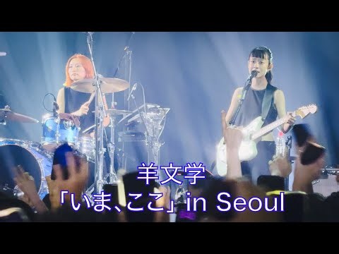 Hitsujibungaku - Live in Seoul 2025 - Yes24 Hall, Seoul, Korea 2025-09-18 #羊文学